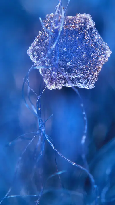 雪花-锐景创意 - Screenshot 1