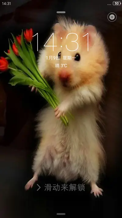 鼠你精彩 - Screenshot 1