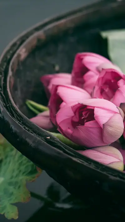 世间花叶不相伦 - Screenshot 1