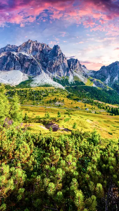 自然醇真意大利