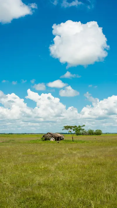 人与自然-拍信创意 - Screenshot 1