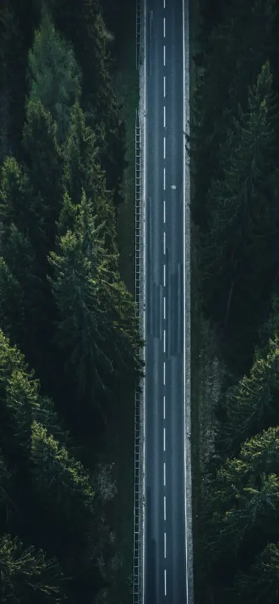 前路漫漫仍可期