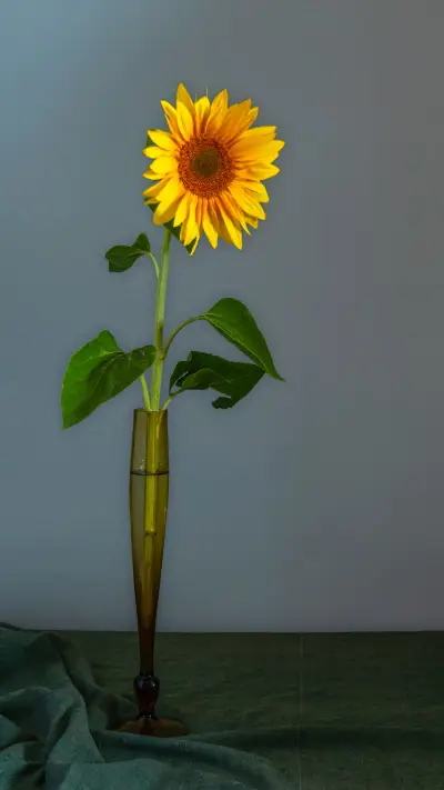 瓶插艺术-拍信图库