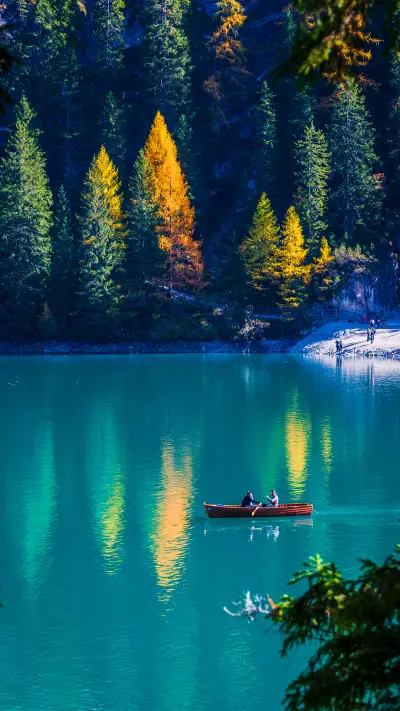 人与自然-拍信创意