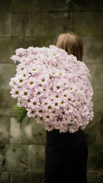 美丽的花朵-拍信图库 - Screenshot 1