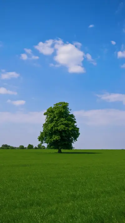 绿色草原-拍信图库
