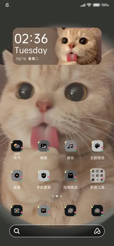 橘猫沙梨简约组件 - Screenshot 2