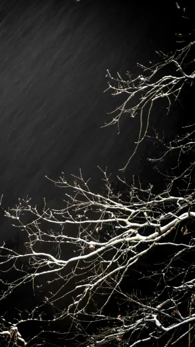 治愈壁纸-顶晟科技