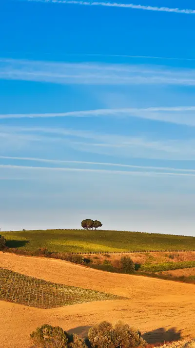 绿色草原-拍信图库