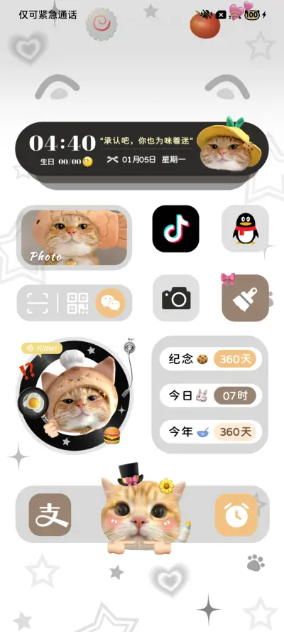 ins可爱猫饼换图 - Screenshot 5