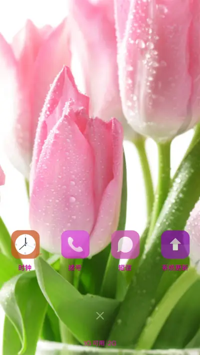 粉色郁金香 - Screenshot 4
