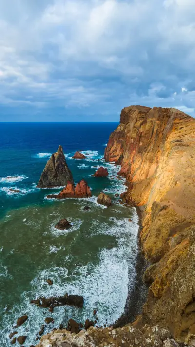 因为懂得所以慈悲