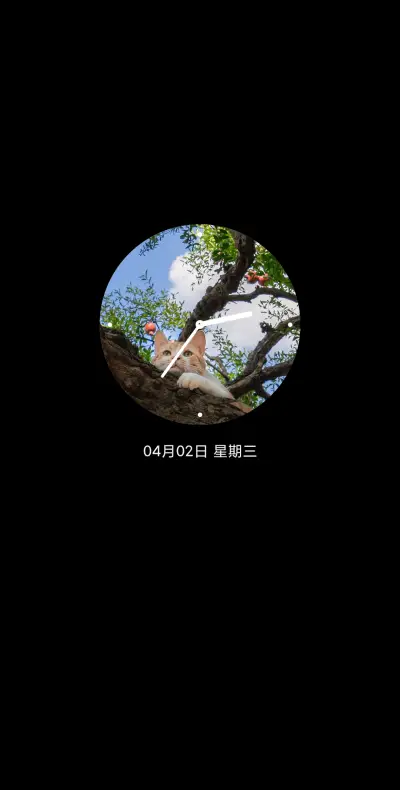 ins 树上的猫 - Screenshot 1