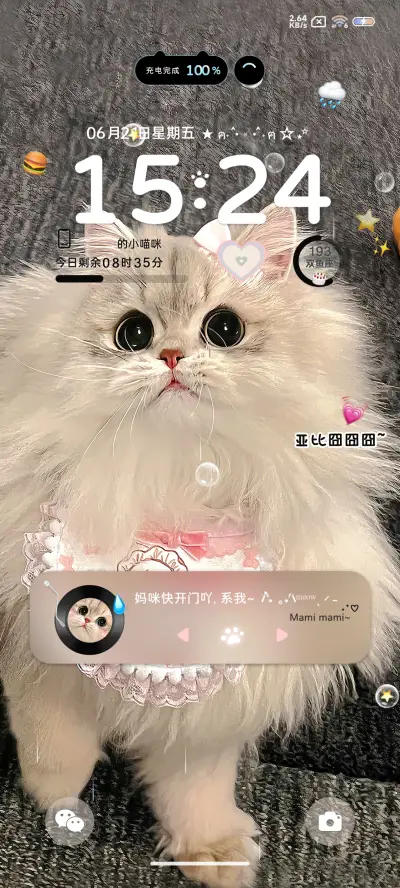 笨蛋小猫 快开门吖