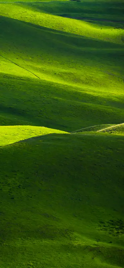 护眼简约绿色风景壁纸-锐景创意