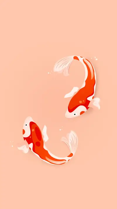 锦鲤 -视觉中国