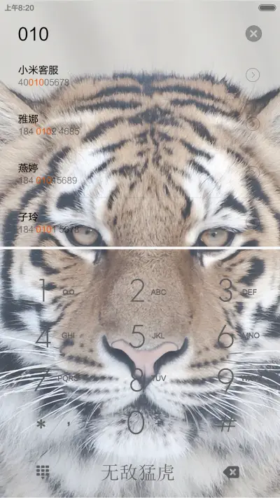 无敌猛虎 - Screenshot 6