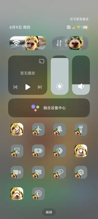 Hello 菠萝包小狗 - Screenshot 5