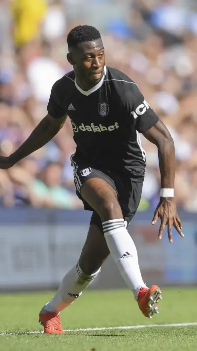 禁区侍卫福苏·门萨